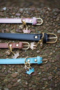 Pet collar with cage and charm