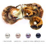Vacuum-Packed Oyster