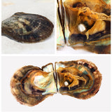 Vacuum-Packed Oyster